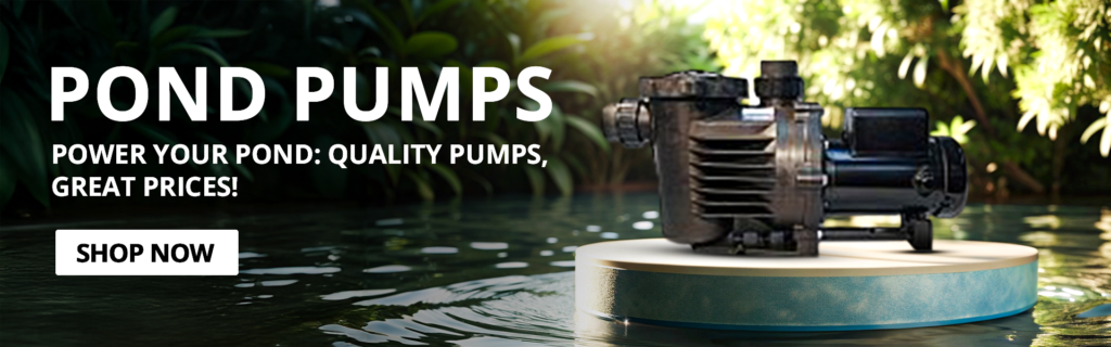 Behind the Science: How Does a Pond Filter Actually Work?