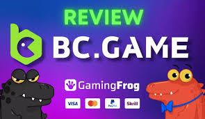 Comprehensive Support for BC Game Users in the USA