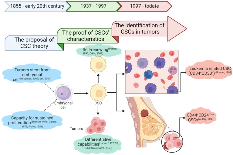 Understanding Cancer Stem Cells: New Discoveries and Clinical Impact