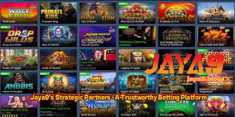 Exciting Sports Betting Tournaments on Jaya 141972252