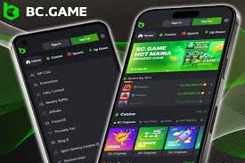 Exploring BC.Game Crypto Casino A New Era of Gambling in India