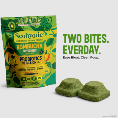 Organic Freeze Dried Kombucha Bites – Delicious Probiotic Treats