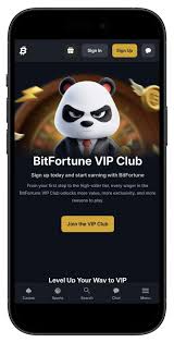 Bitfortune for Casual Players Payment Options