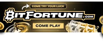 Bitfortune for Casual Players The Best Online Betting Experience