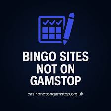 Exploring Online Bingo Sites Not on Your Radar