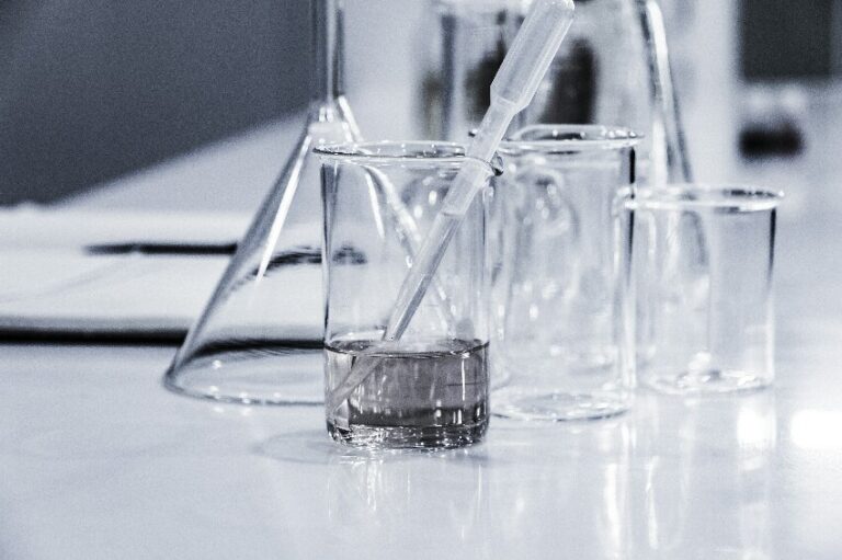 From Extraction to Programming: CD BioGlyco Rewrites the Metabolic “Source Code” of Carbohydrates